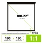180x180см Wallscreen CS-PSW-180X180-BK 1:1 настенно-потолочный рулонный черный