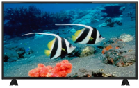 Телевизор LED Starwind 43" SW-LED43BA201 черный FULL HD 60Hz DVB-T DVB-T2 DVB-C USB (RUS)