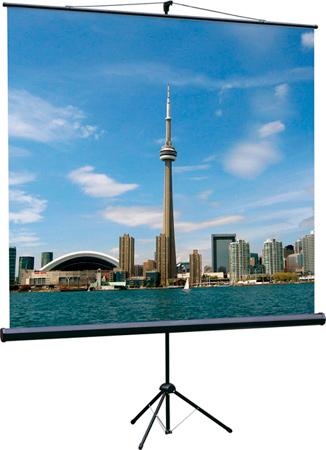 Экран Lumien Eco View LEV-100102 на треноге 180x180 см 1:1 с возможностью настенного крепления