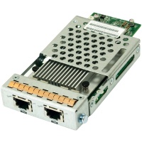 EonStor RER10G0HIO2 host board with 2x 10Gb/s iSCSI (RJ-45) ports, type1