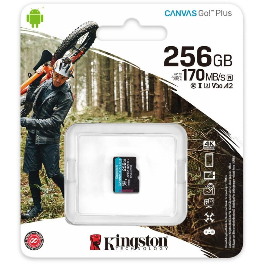 Kingston 128gb Canvas go Plus. Kingston Canvas go Plus 128 ГБ. Kingston sdcg3. Sdcg3/256gb.