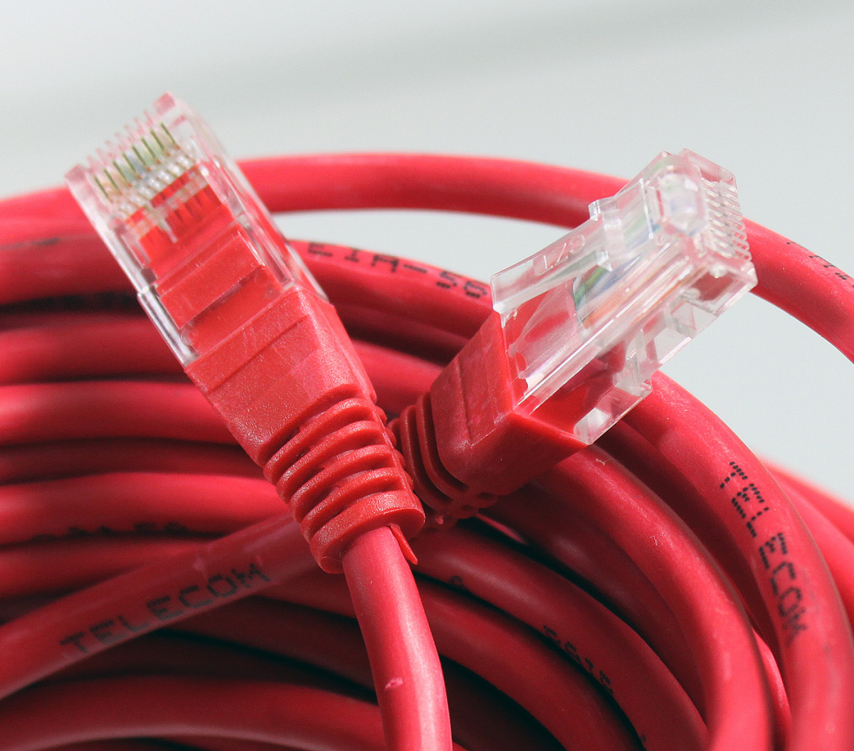 Telecom na102-l-15m. Сетевой кабель красный. Провод в красной упаковке. Telecom Cabel. Красный кабель купить