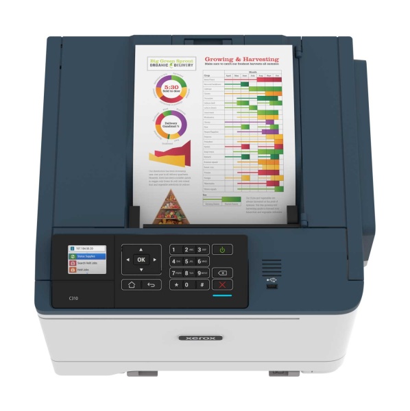Принтер Xerox C310 Laserdrucker (C310V_DNI)