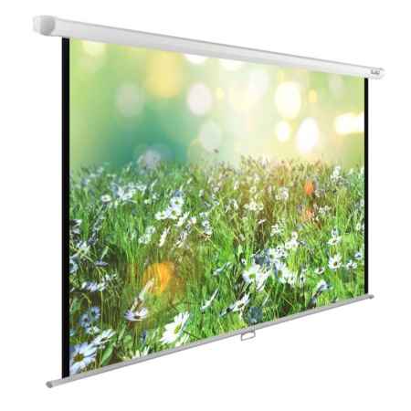 Экран Cactus 150x200см WallExpert CS-PSWE-200x150-WT 4:3 настенно-потолочный рулонный