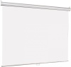 Экран Lumien 150x150см Eco Picture LEP-100101 1:1 настенно-потолочный рулонный