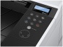 Принтер Kyocera Ecosys P2040DN (1102RX3NL0) A4 Duplex Net