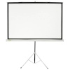 Экран Cactus 150x150см Wallscreen CS-PSW-150x150 1:1 настенно-потолочный рулонный белый