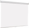Экран Lumien 160x160см Eco Picture LEP-100105 1:1 настенно-потолочный рулонный
