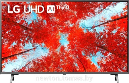 43" 43UQ90006LD титан {Ultra HD 60Hz DVB-T DVB-T2 DVB-C DVB-S DVB-S2 USB WiFi Smart TV (RUS)}