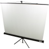 Экран на треноге Lumien 160x160см Eco View LEV-100105 1:1 напольный рулонный