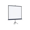 Экран Lumien на треноге 127x127см Eco View LEV-100104 1:1 напольный рулонный