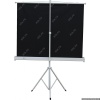 Экран Cactus 127x127см Triscreen CS-PST-127X127 1:1 напольный рулонный черный