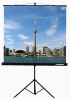 Экран на треноге Lumien 160x160см Eco View LEV-100105 1:1 напольный рулонный
