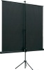 Экран на треноге Lumien 150x150см Eco View LEV-100101 1:1 напольный рулонный