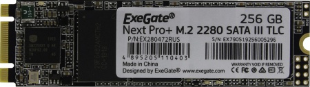 M.2 256GB Next Pro+ Series EX280472RUS