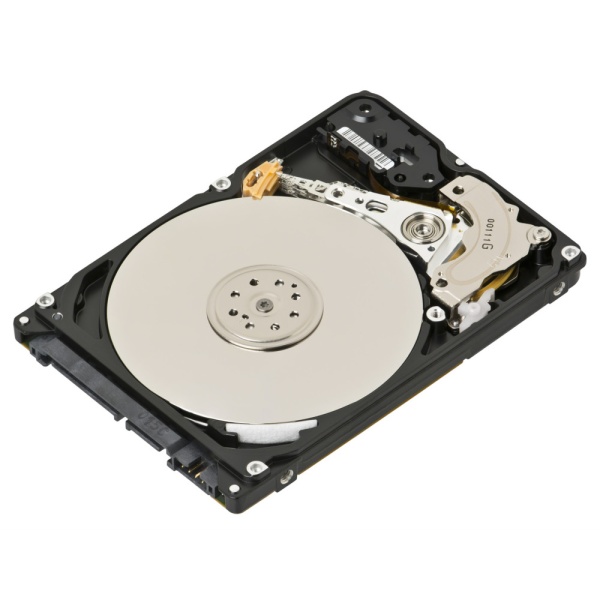 1TB Enterprise HDD MG04ACA100N SATA 6Gb/s, 7200rpm, 128MB, Bulk